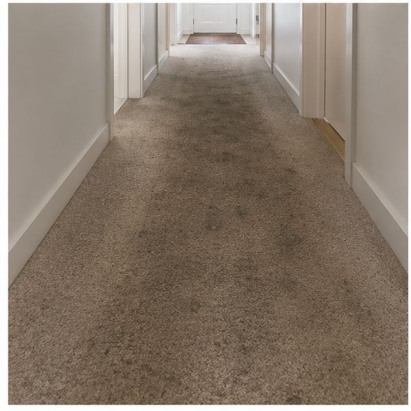 Hallway traffic lane before cleaning