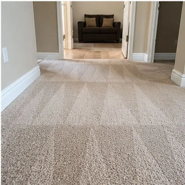 Carpet cleaning results in Seddon VIC